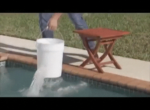 giphy (5)